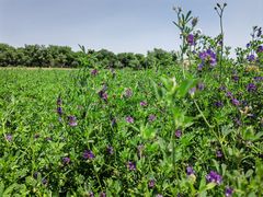 -汉长安城未央宫国家考古遗址公园