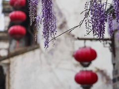-老门东历史文化街区