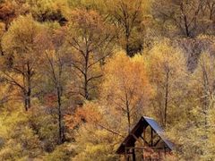 -叠溪松坪沟景区