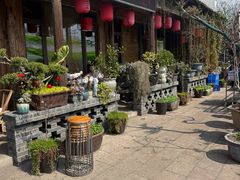 -头上红煨盐鸡·非遗院子餐厅