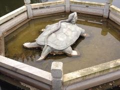 iphone_upload_pic-芦苞胥江祖庙