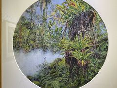 -深圳仙湖植物园