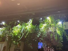 -森味薪火烧•烧鸟居酒屋•日本料理(望京店)