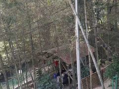 -大本营竹筒饭
