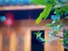 -杨家堂村