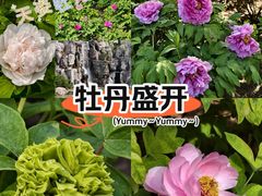 -太阳宫公园