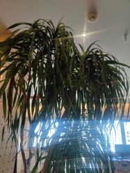 -儿时蒙太奇摄影(亦庄店)