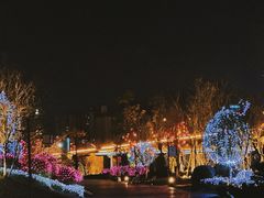 -恩阳古镇