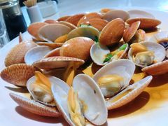 蛤蜊-海蓝海鲜馆(五四北店)