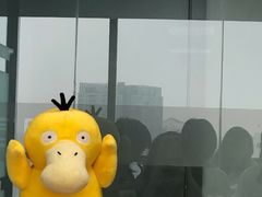 -帝京日语(春熙路旗舰校区)