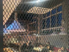 -比格比萨自助(国展店)