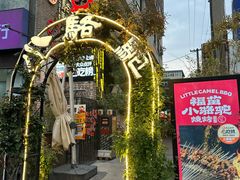 -福苗小骆驼烧烤(莲湖路店)