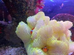 -沈阳海洋探索中心