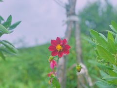 -名花谷生态庄园