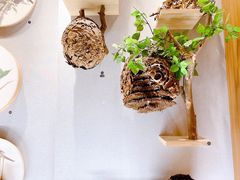 -上海自然博物馆