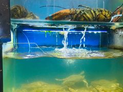 -老东镇啤酒屋海鲜加工·蒸汽海鲜·海鲜烧烤(台东店)