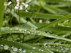 -樱桃山旅游景区