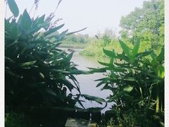 -九里河湿地公园