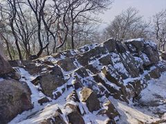 -紫金山山顶公园