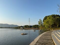 -长田漾湿地公园