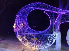 -青龙湖公园