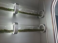 -紫荆广场·花漫里