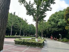 -苏州河梦清园环保主题公园