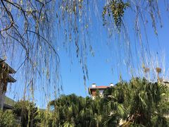 -西昌邛海宾馆