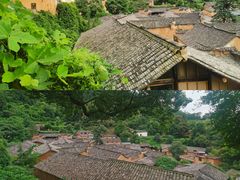 -杨家堂村