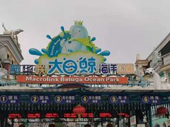 -芜湖新华联大白鲸海洋公园