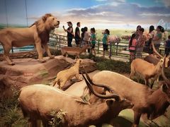 -陕西自然博物馆