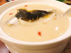 -肆月河豚·新淮扬(金融街店)