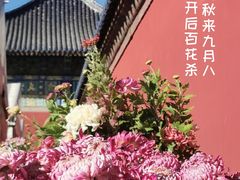 -天坛公园