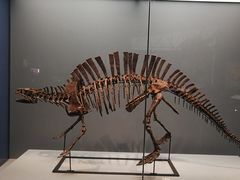 -湖南省地质博物馆