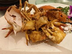 -渔人码头(中南店)