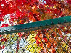 -水上乐园·欢乐世界