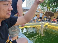 -DGE季风钓虾营地·团建·聚会
