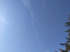 -85度C(青岛燕儿岛店)