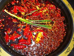 -一斗火锅·招财羊毛肚(北温泉九号店)