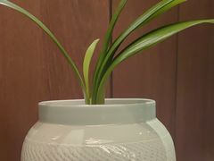 -钱塘宴(东站西子国际店)