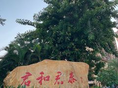 -君和君泰