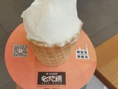 -野人先生现做冰淇淋(北京环宇荟店)