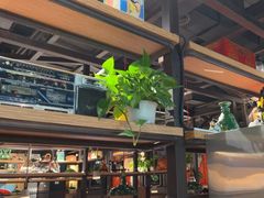 -探鱼·鲜青椒爽麻烤鱼(北京路天河城店)