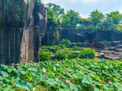 -广州莲花山旅游区