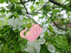 -海棠花溪(元大都城垣遗址公园)
