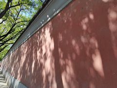 -国家图书馆·古籍馆