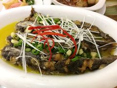 菜籽油海骨鱼-椿记烧鹅(北门店)