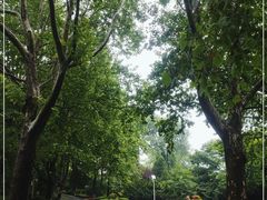 -棒棰岛宾馆景区