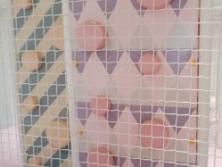 -奈尔宝·儿童乐园·亲子餐厅(华采天地店)