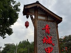 -青城甲(青城山店)